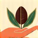 Ethically Sourced Coffee Beans